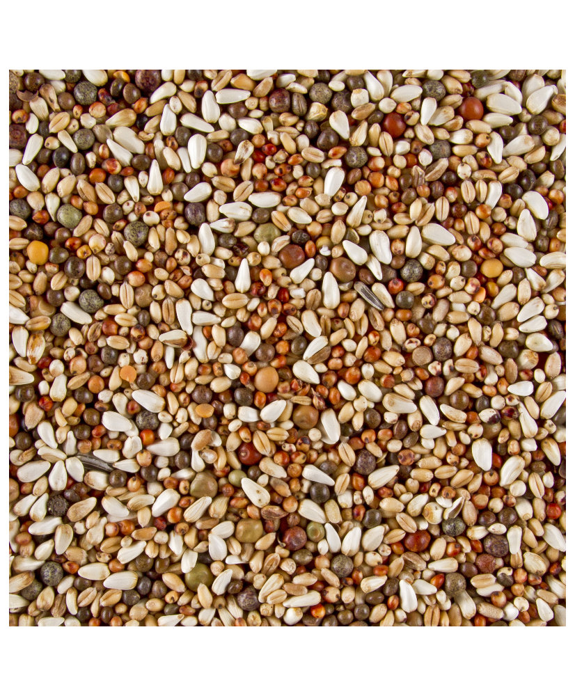 Tortelduivenvoer 4kg