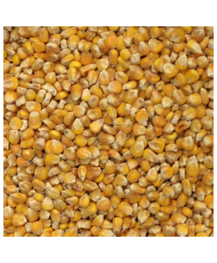 Maïs grain entier 5kg