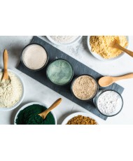 Wisbroek élevage à la main pour oisillons granivores 700g (universal handfeeding)