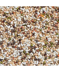 Deli Nature 33 Graines à germer Grandes Perruches et Perroquet 3 kg