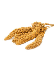 Millet jaune en grappes (Anjou) 1 kg