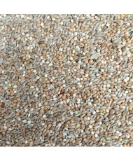 Hoebregts oiseaux exotiques et goulds (Michotte) 4 kg