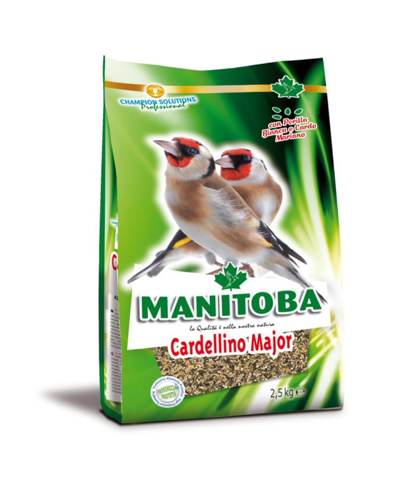 Manitoba Cardellino (chardonnerets) Major 2.5 kg