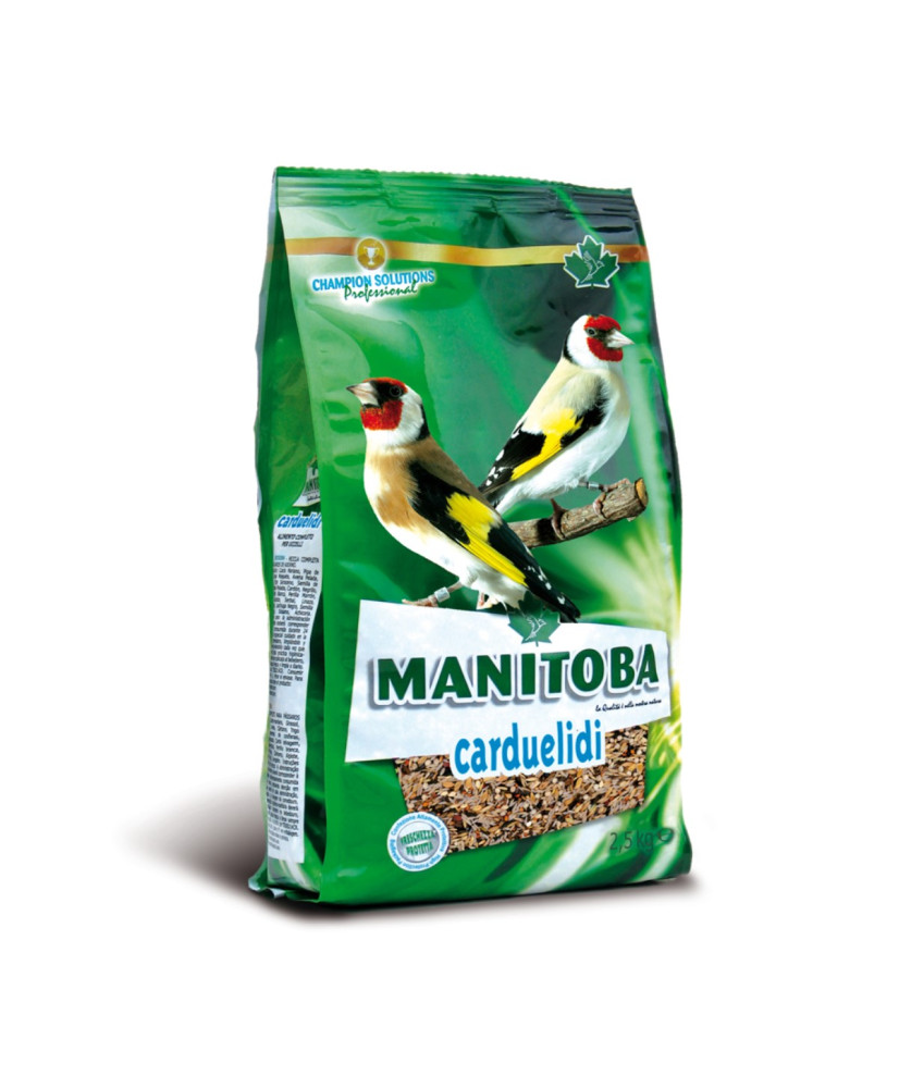 Manitoba distelvinken light (carduelidi)