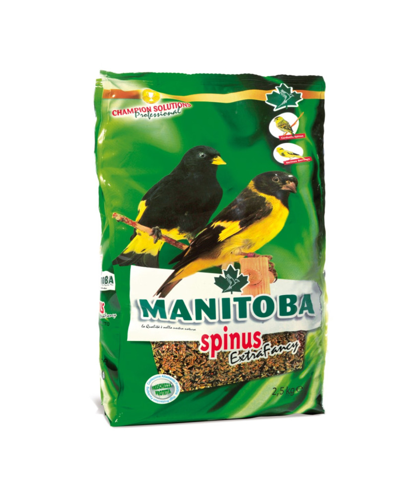 Manitoba Tarins Extra Fancy