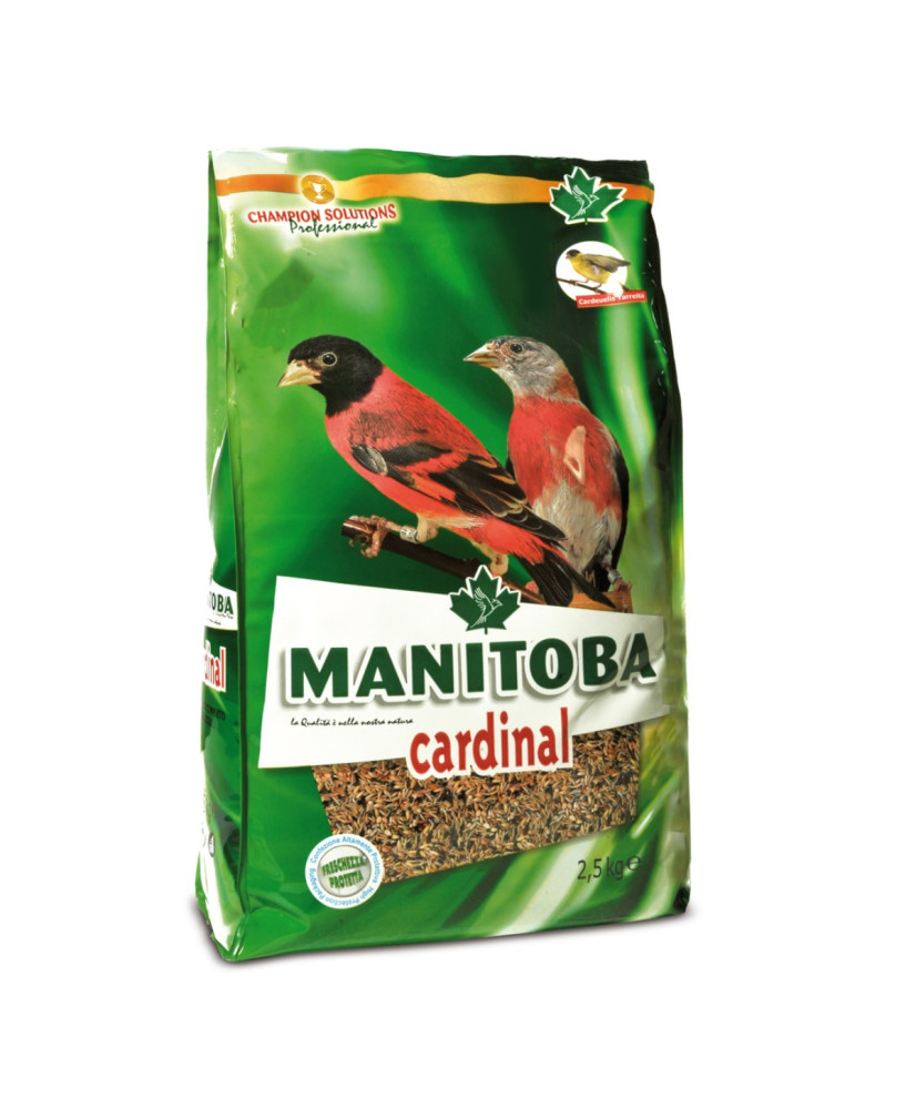 Manitoba Cardinal -  kapoetsensijzen