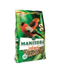 Manitoba Bec-croisés et Bouvreuils (Indigena New)