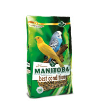 Manitoba Conditiezaden