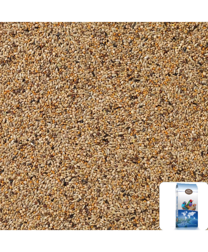 Deli Nature 84 APV Gould 4 kg