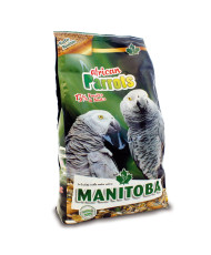Manitoba African Parrot - Perroquets africains