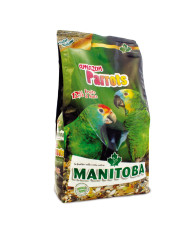 Manitoba Amazon parrots - Perroquets amazone