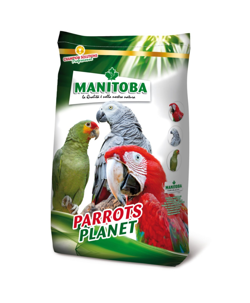 Manitoba Tropical Big parrots