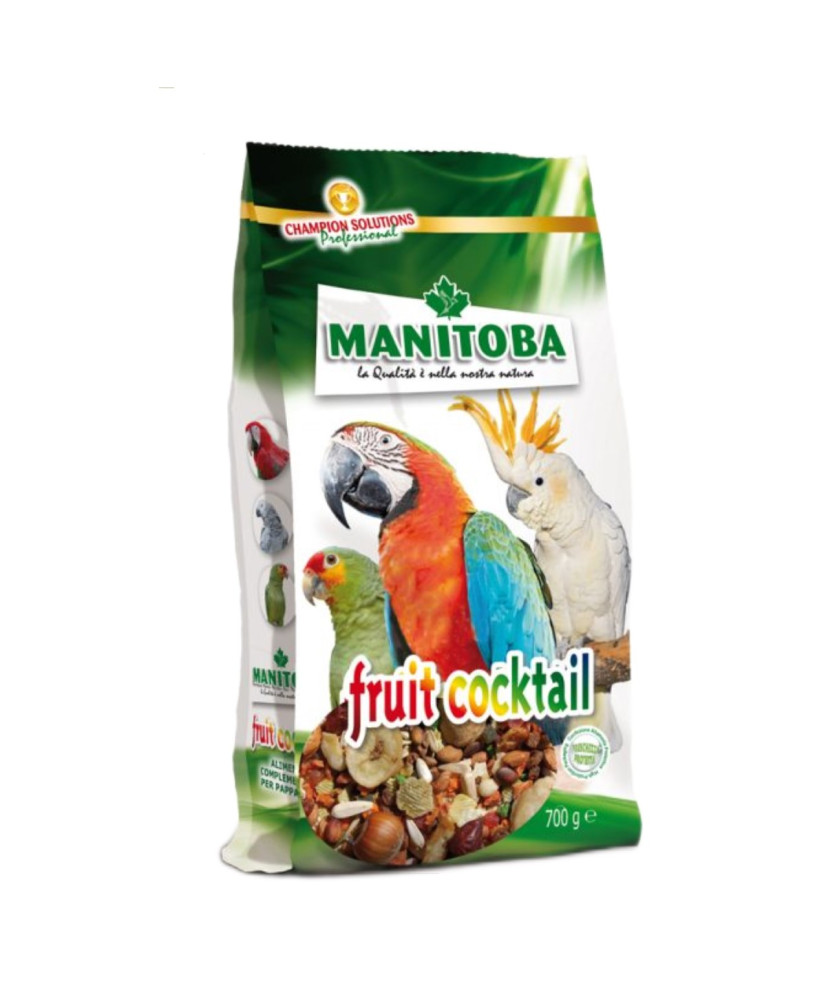 Manitoba Fruit Cocktail (mix van gedroogd fruit en noten)