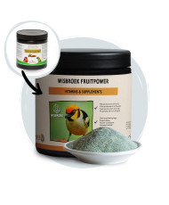 Wisbroek FruitPower 750 g