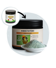 Wisbroek FruitPower 250 g