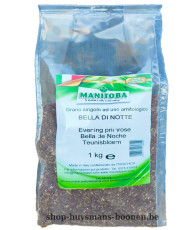 Teunisbloemzaad 1kg -  Manitoba