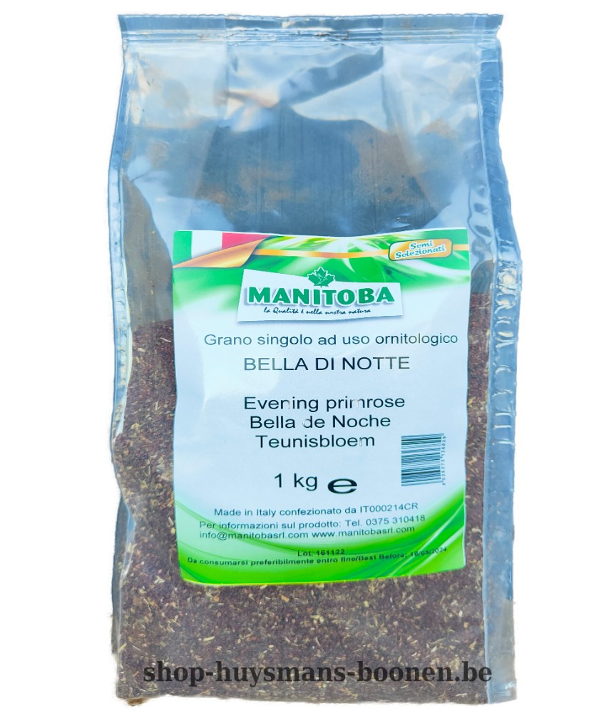 Teunisbloemzaad 1kg -  Manitoba