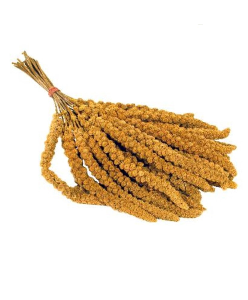 Millet jaune en grappes (Chinois) 15 kg