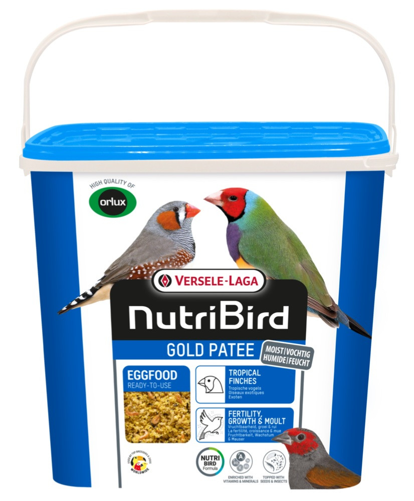 Nutribird Gold Patee Tropische Vogels 5kg (Orlux gebruiksklaar eivoer tropische vogels)