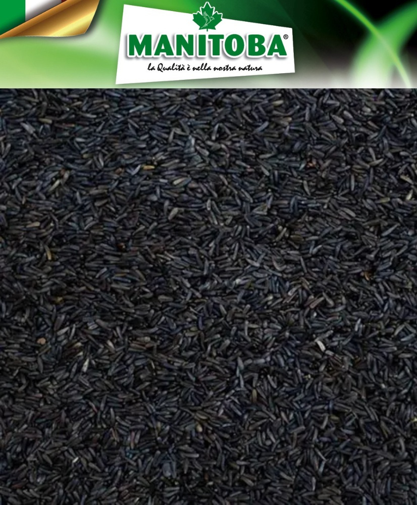 Niger 1kg - Manitoba