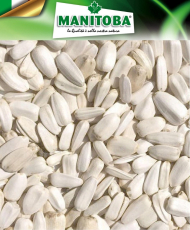 Tournesol blanc 500g -...