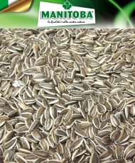 Tournesol Strié 500g -...