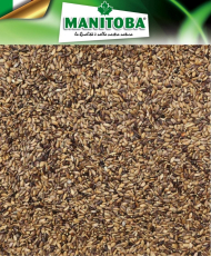 Chardon marie 1kg - Manitoba