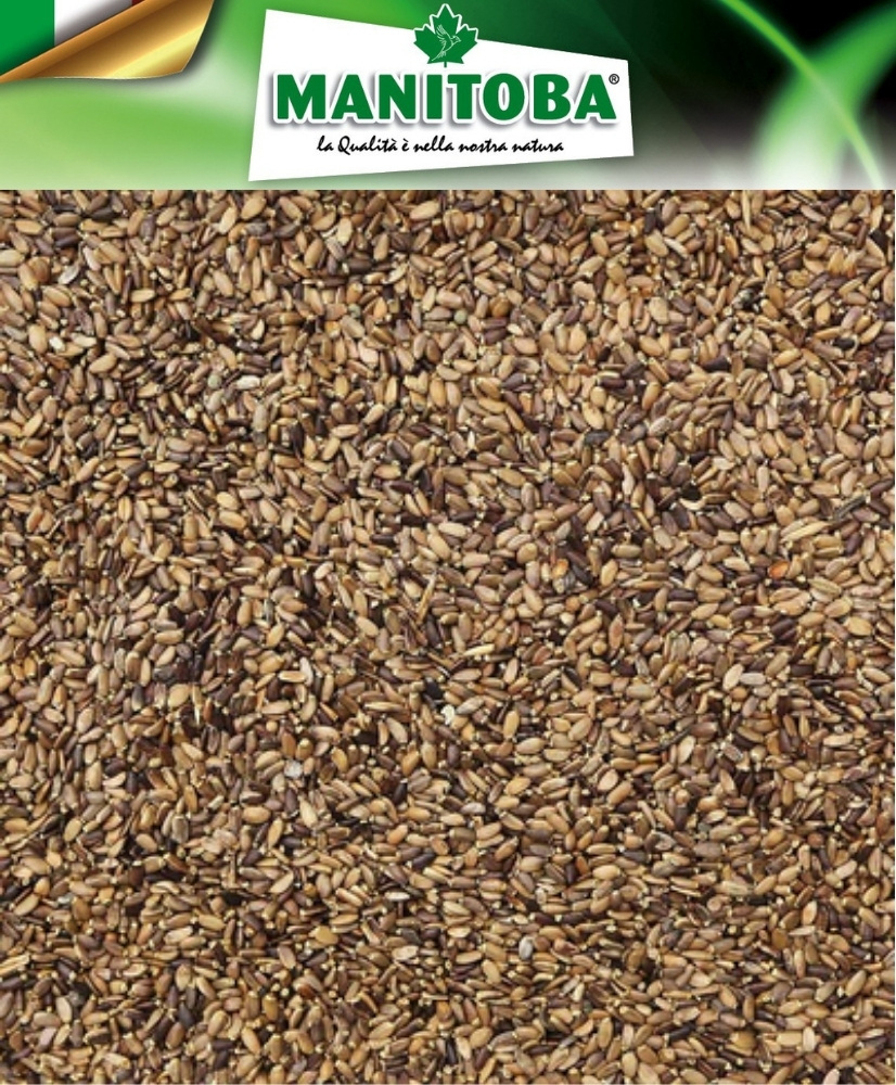 Chardon marie 1kg - Manitoba