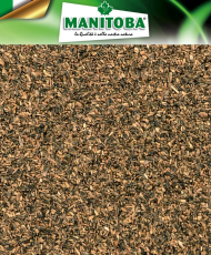 Chicorée 1 kg - Manitoba