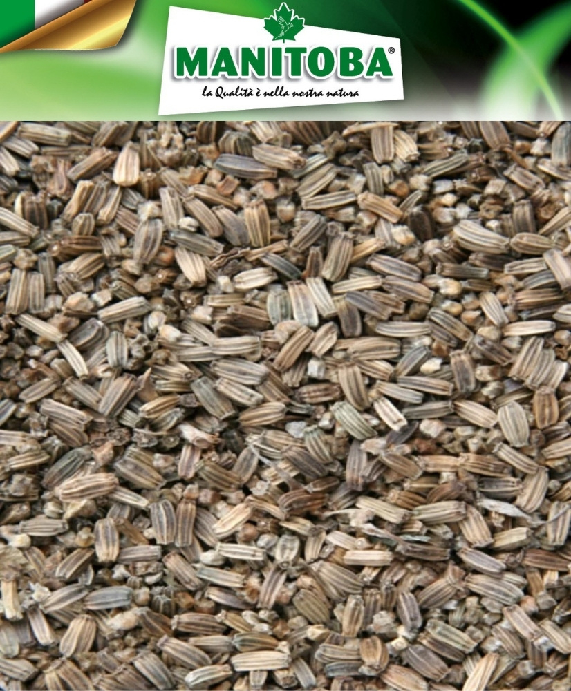 Chardon Sauvage (cardère) 500g - Manitoba