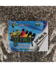 Germix tarins (vrac) 1kg...