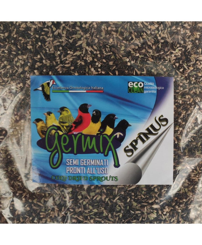 Germix tarins (vrac) 1kg (graines germées prêtes à l'emploi pour tarins)