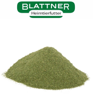 Blattner poudre d'ortie 1kg