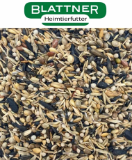 Blattner Chardonneret Major...