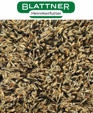 Blattner Tarins IA