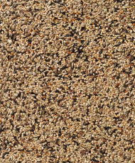 Deli Nature 70 - Neophema premium