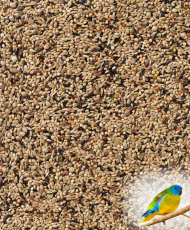 Deli Nature 70 - Neophema premium