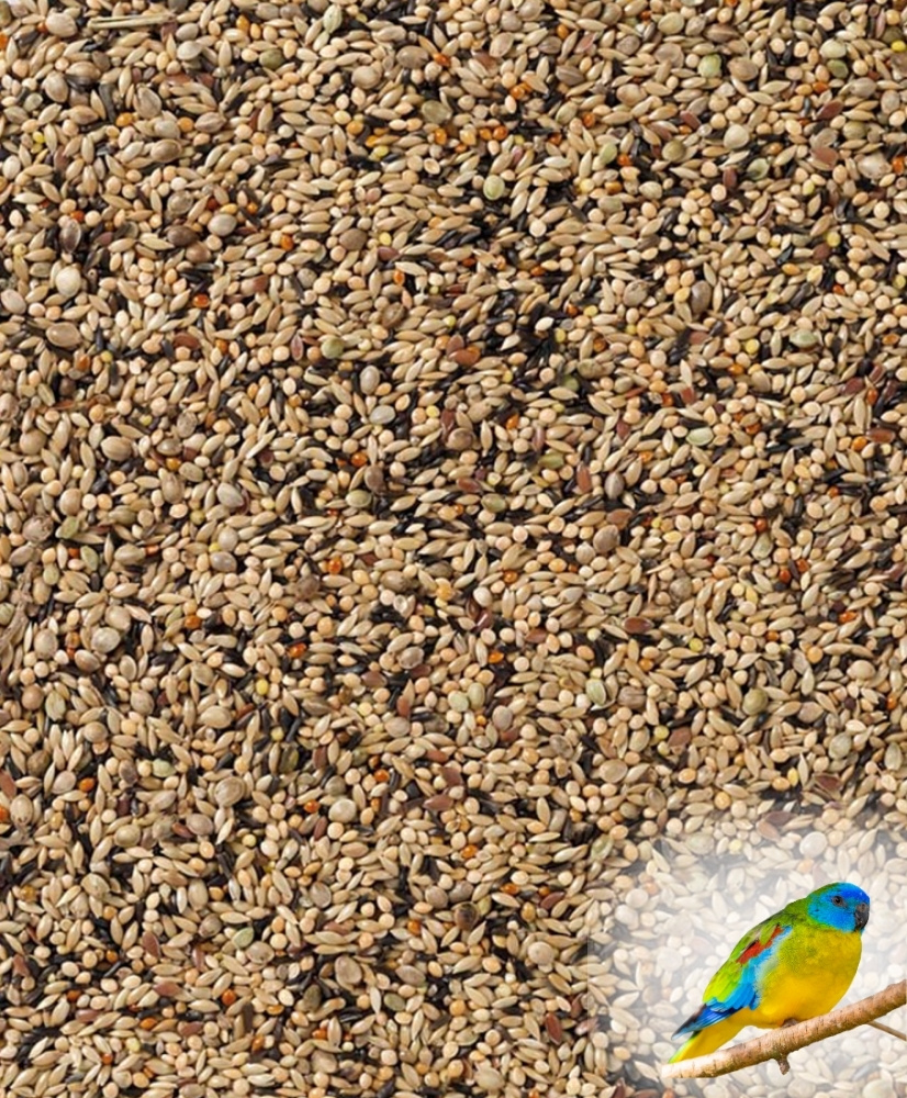 Deli Nature 70 - Neophema premium 4 kg