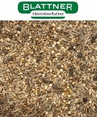 Blattner Passerina - Amerikaanse kleurvinken