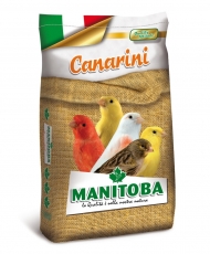 Manitoba Canari T1 Bisc