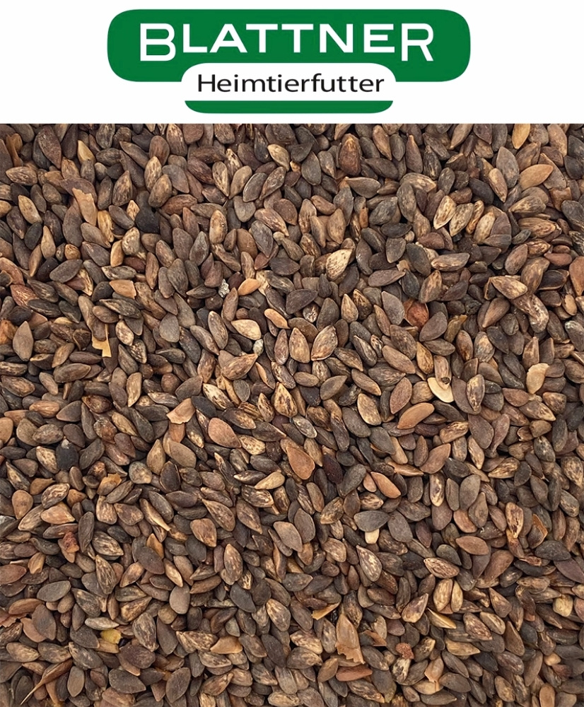Dennenzaad fijn (spar) - Blattner 1kg