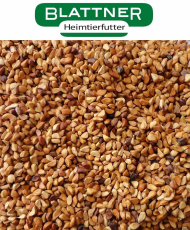 Graines de Cynorhodon - Blattner 1kg