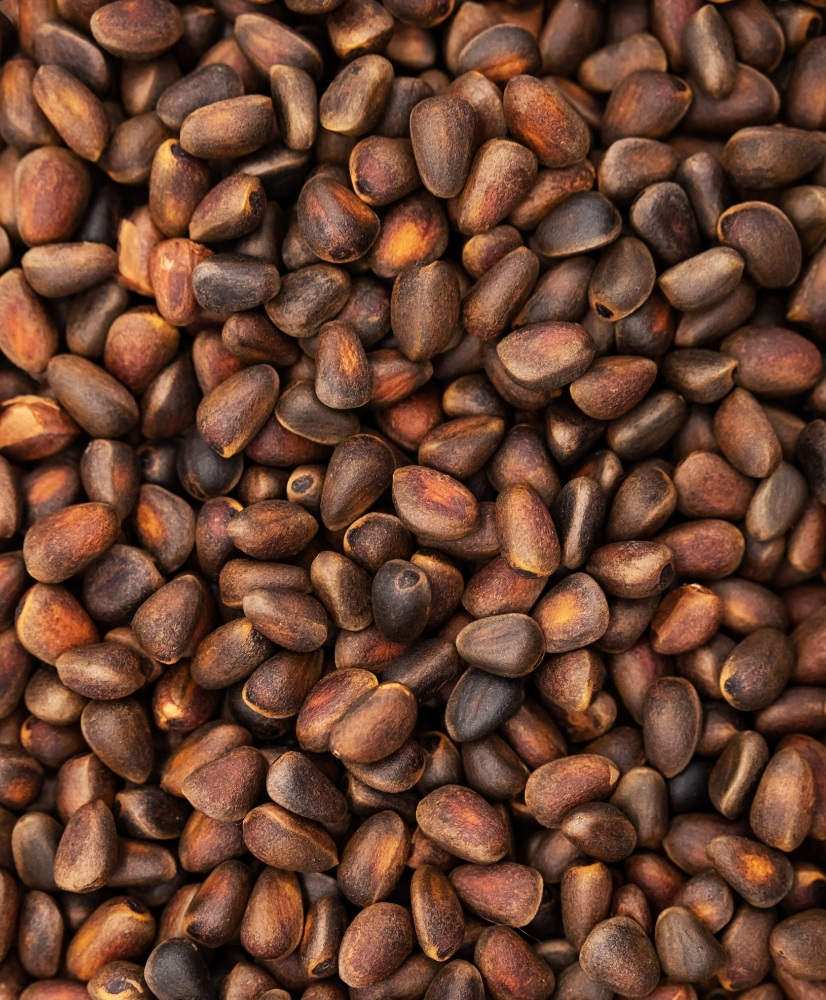 Noix de cèdre 1 kg