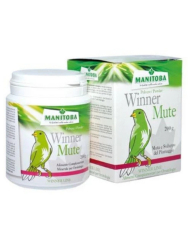 Manitoba Winner Mute -...