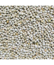 Perilla blanc 1 kg