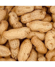 Pinda's in dop 500g