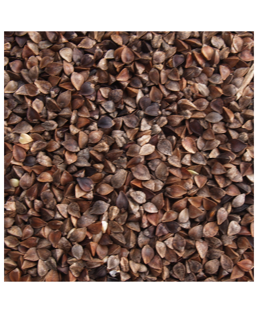 Sarrasin 1kg
