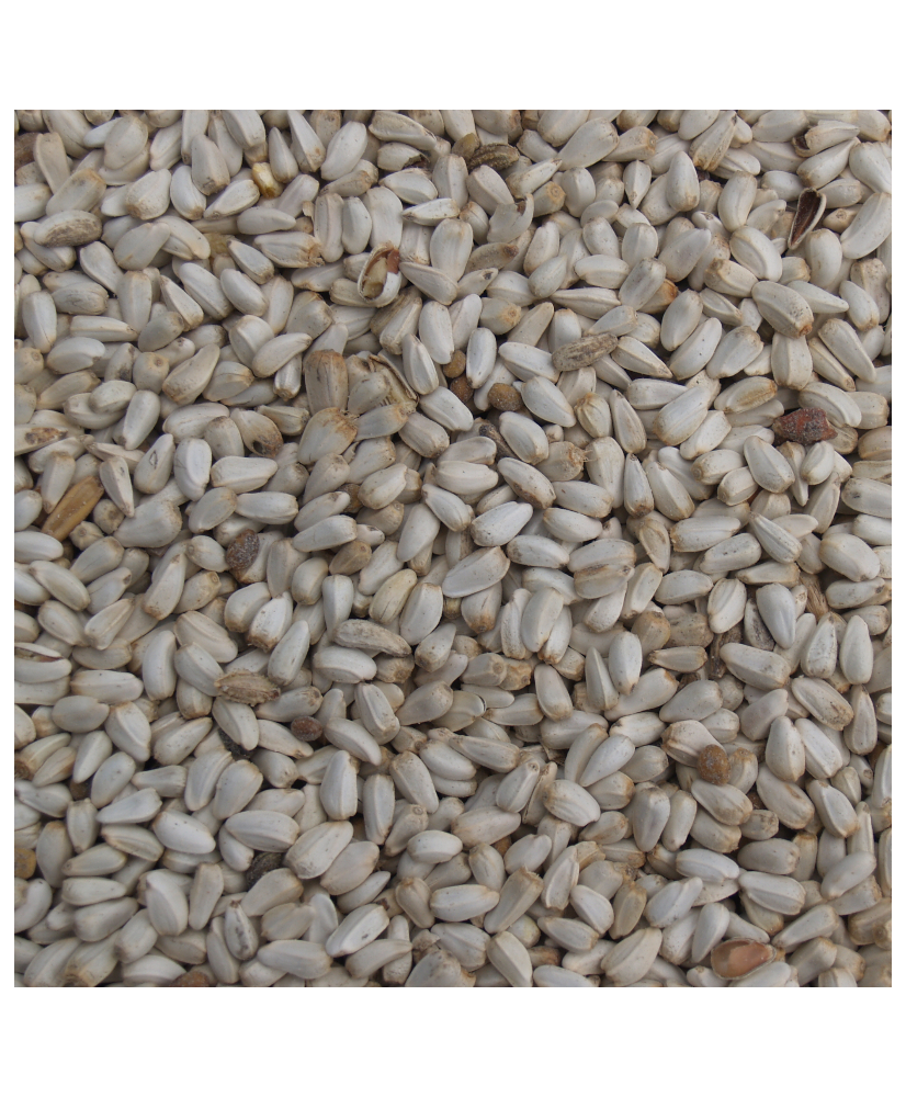 Cardi / Carthame 1kg