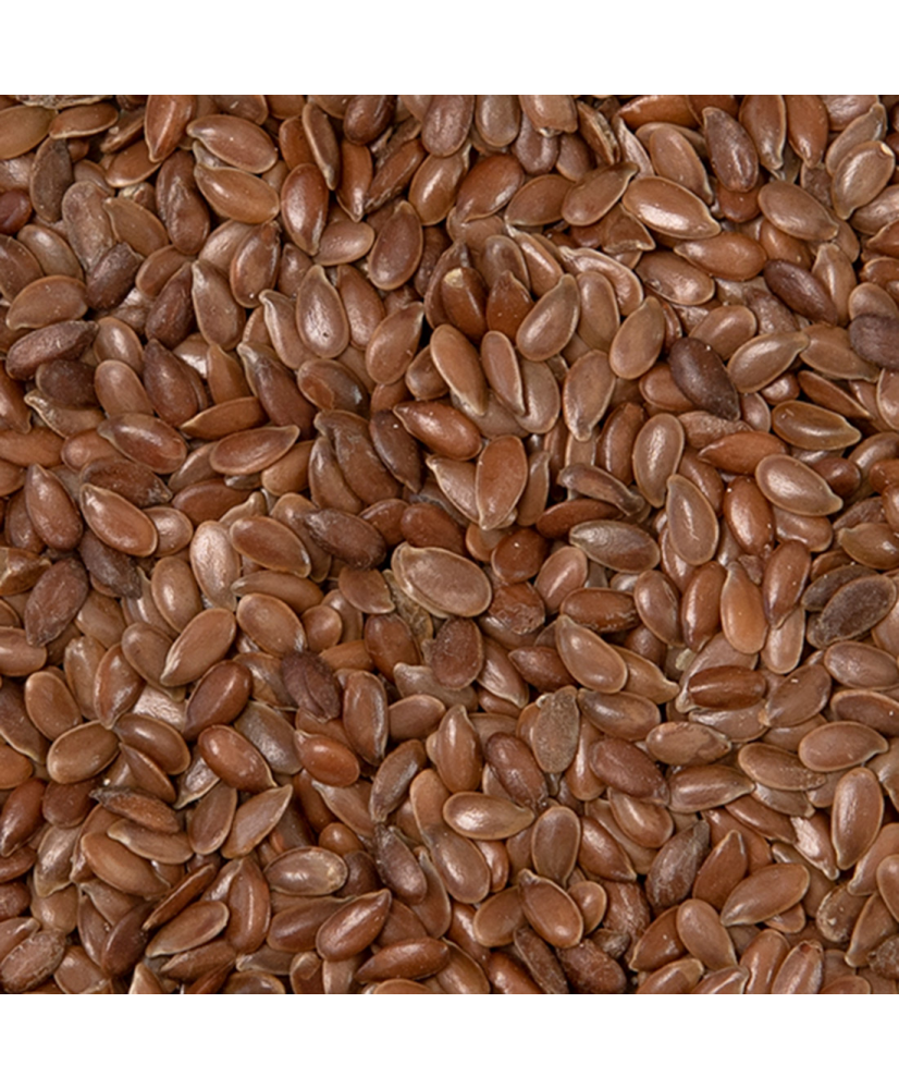 Lijnzaad 1kg