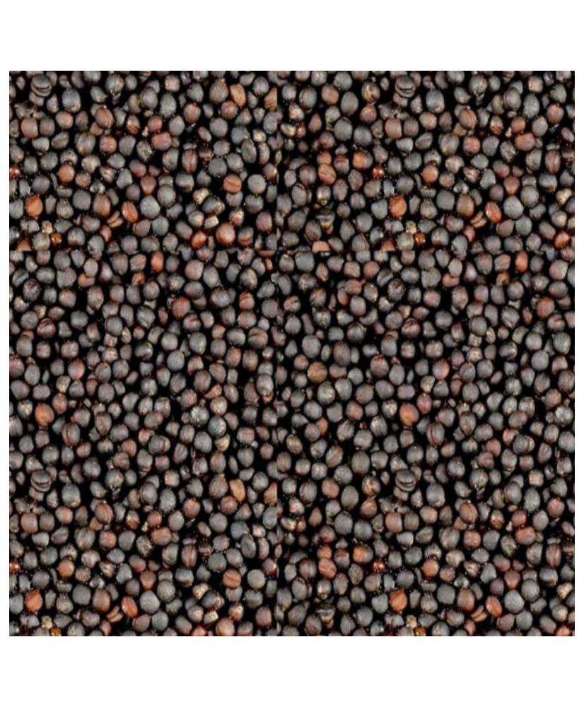 Navette 1kg